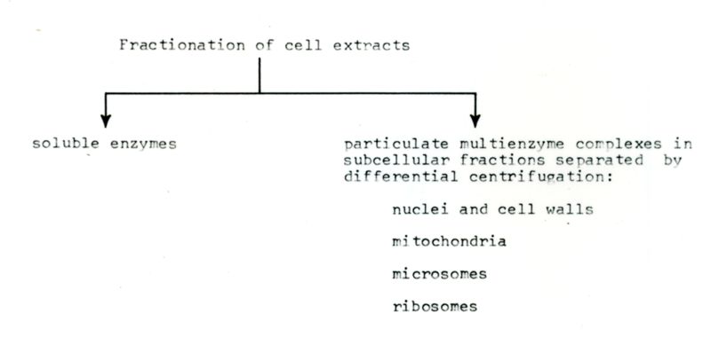 Frazionamento di estratti cellulari