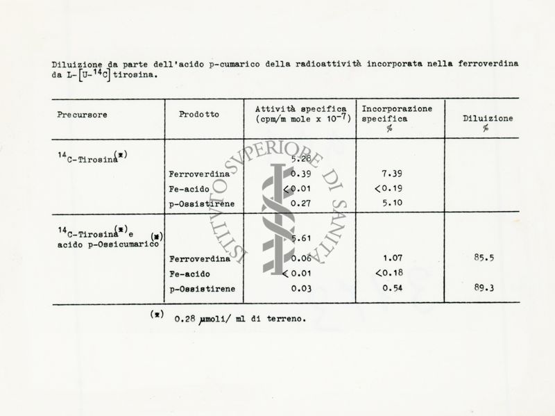 Tabella riguardante la diluizione da parte dell'acido-cumarico della radioattività incorporata nella Ferroverdina