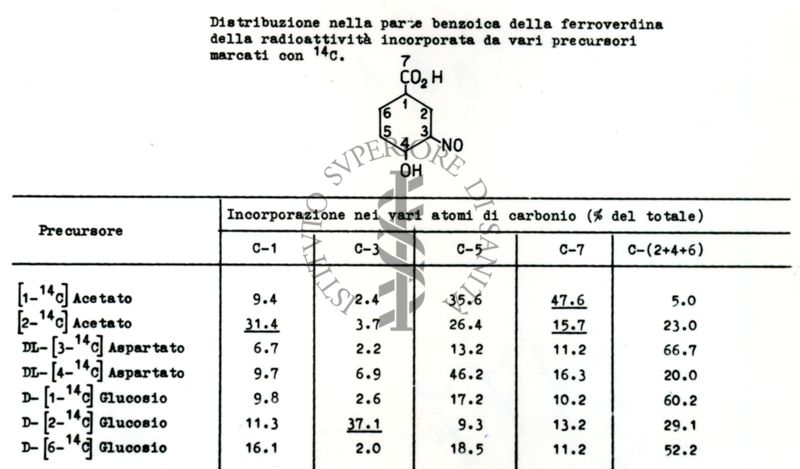 Tabella riguardante la distribuzione nella parte benzoica della Ferroverdina della radioattività incorporata da vari precursori marcati con carbonio-14