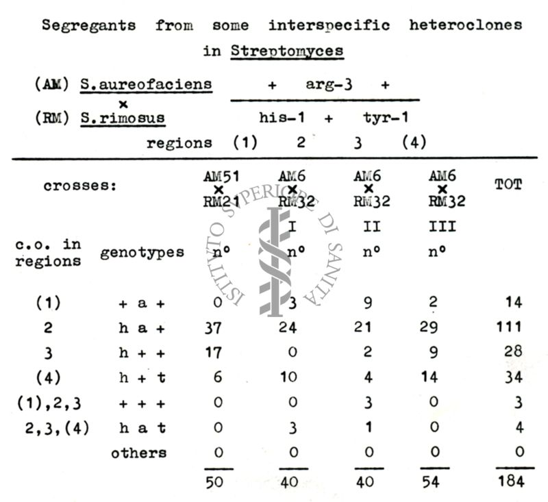 Tabella riguardante i segreganti da eterocloni interspecifici negli Streptomiceti