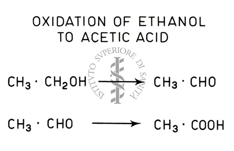 Analisi di pathway metabolici