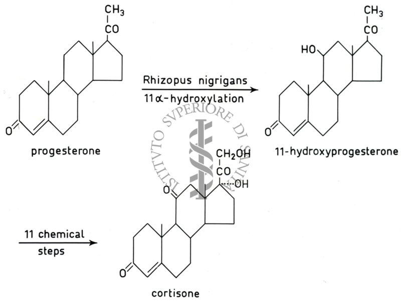 Analisi di pathway metabolici