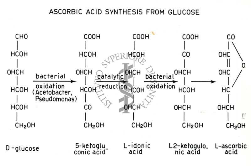 Analisi di pathway metabolici