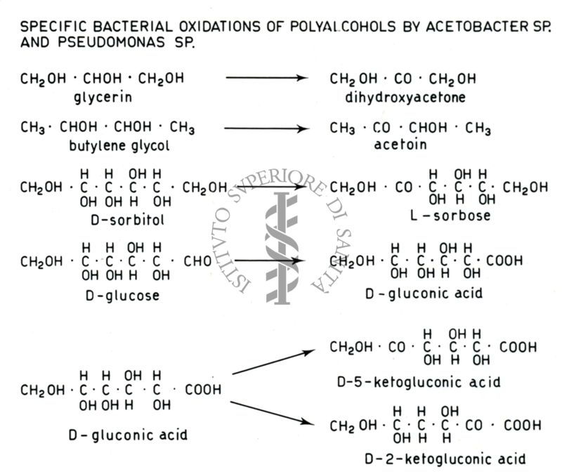 Analisi di pathway metabolici