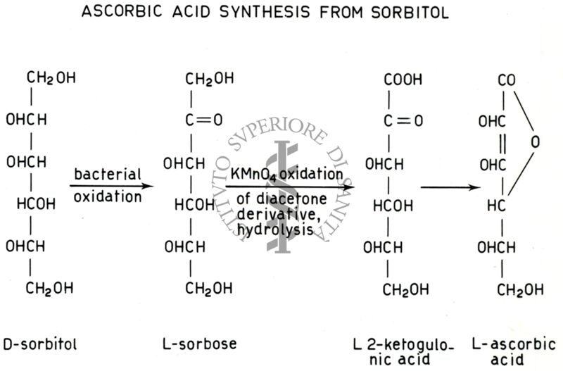 Analisi di pathway metabolici