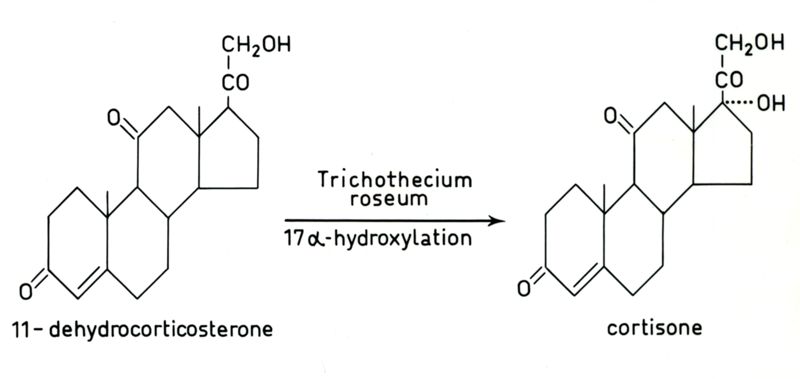 Formule di ormoni