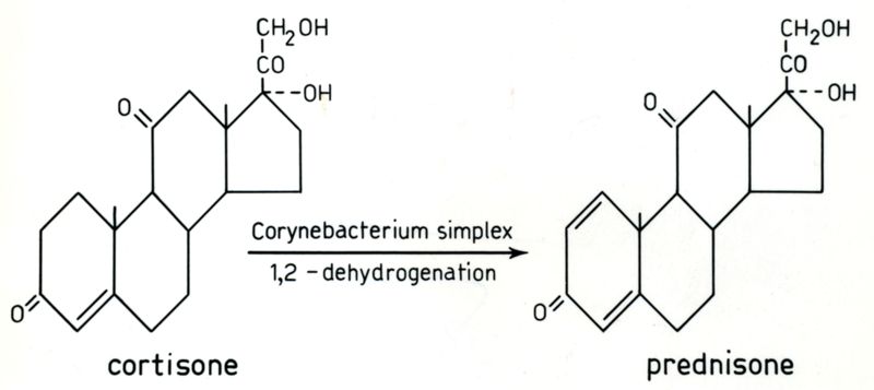 Formule di ormoni