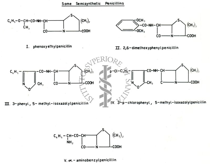 Molecole di interesse biologico