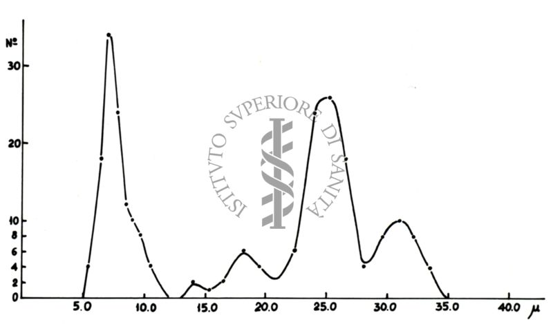 Studi metabolici di miceti