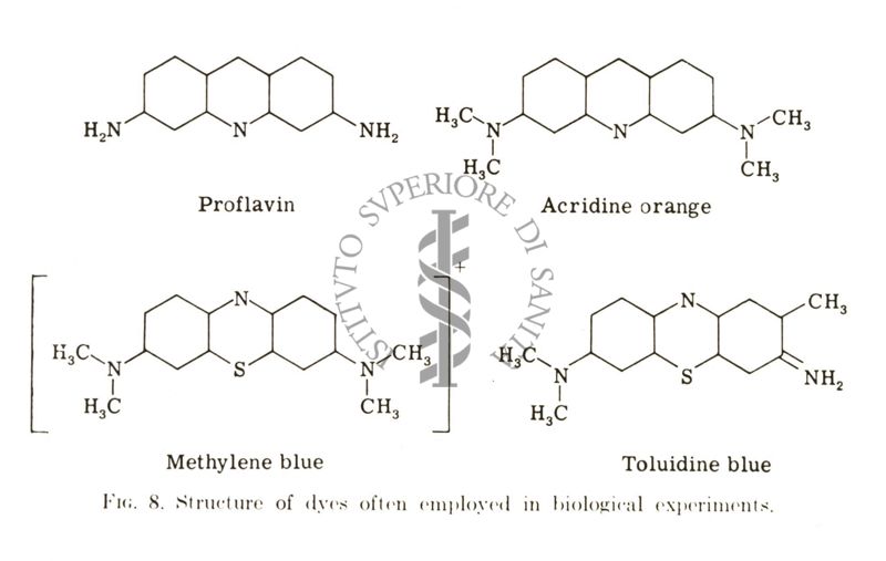 Studi di mutagenesi