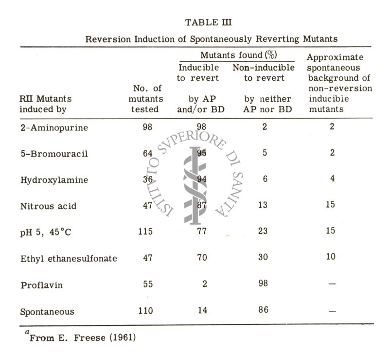 Studi di mutagenesi