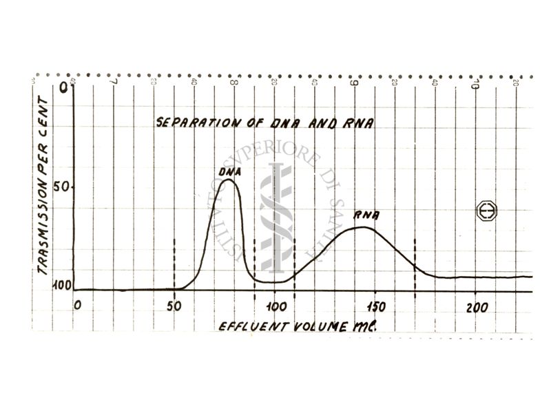 Procedure di separazione degli acidi nucleici - Grafico sulla separazione di DNA e RNA