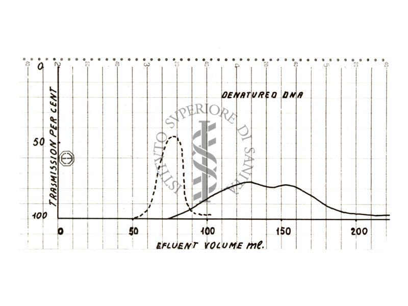 Procedure di separazione degli acidi nucleici - Grafico sul DNA denaturato