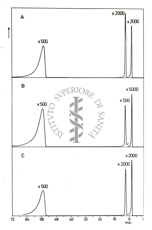 Spettro di eruzione