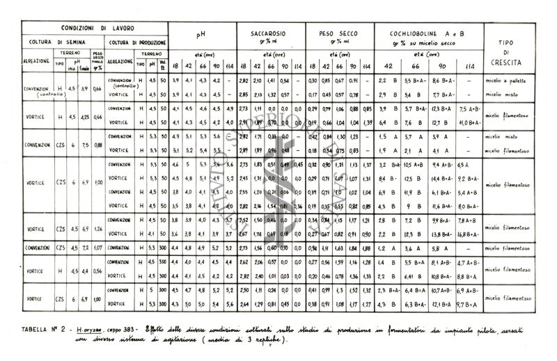 Tabella N. 2 - H. orizae, ceppo 383 - Effetto delle diverse condizioni colturali sullo stadio di produzione in fermentatori da impianto pilota, aerati con diverso sistema di agitazione (media di 3 repliche)