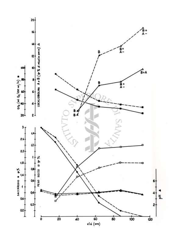 Due grafici riguardanti il saccarosio e la cochliobolina A e B