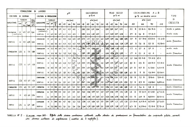 Tabella che descrive due sistemi di aereazione (convenzionale e a vortice) in rapporto al terreno colturale, al pH, al saccarosio e al peso secco