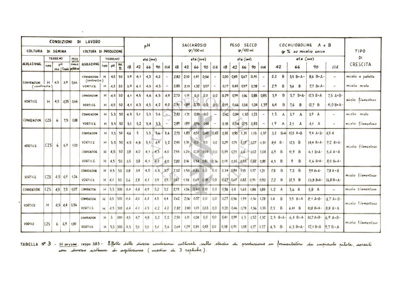 Tabella N. 3 - H. orizae, ceppo 383 - Effetto delle diverse condizioni colturali nello stadio di produzione in fermentazione da impianto pilota, areati con diverso sistema di agitazione (media di 3 repliche)