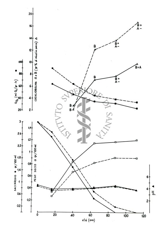 Due grafici riguardanti il saccarosio e la cochliobolina A e B