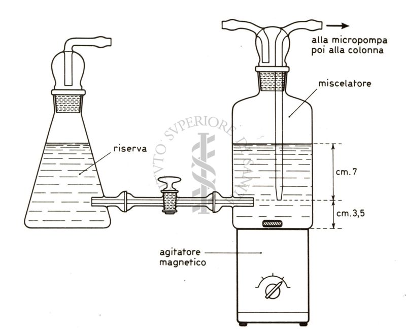 Disegni di fermentatori per la crescita di microrganismi