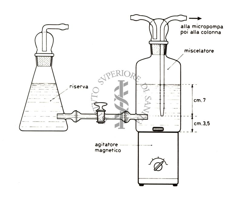 Disegni di fermentatori per la crescita di microrganismi