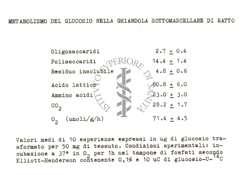 Studi in vivo sul metabolismo del glucosio