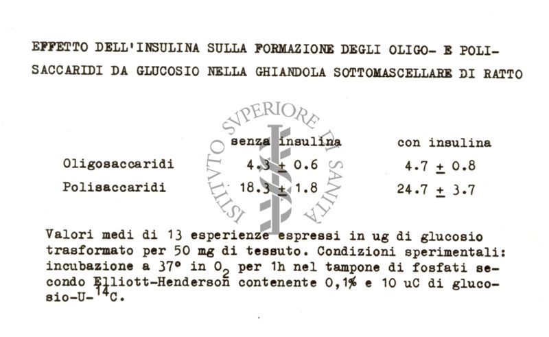 Studi in vivo sul metabolismo del glucosio