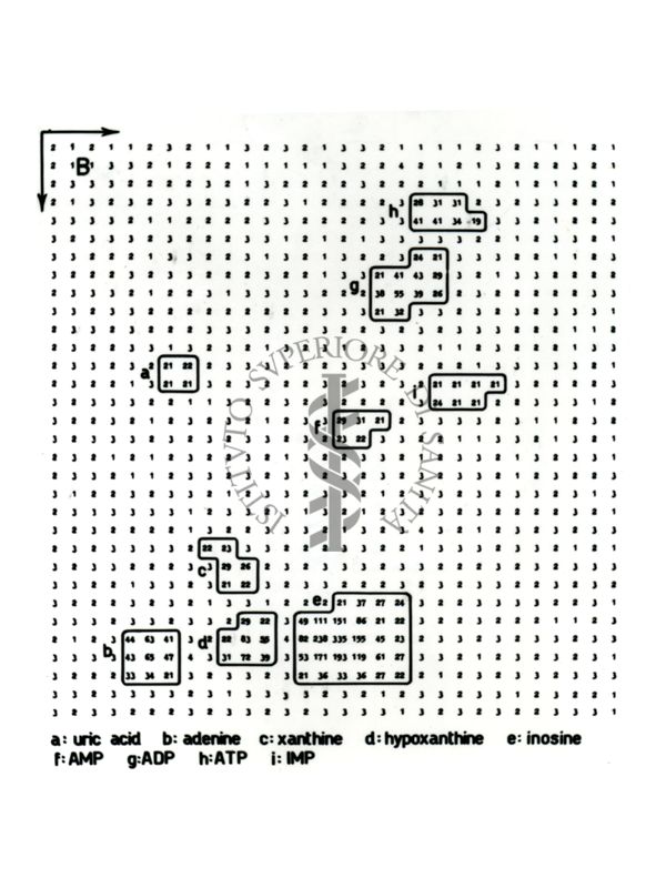 Studio relativo a sostanze trattate con solventi (in esito ad analisi cromatografiche) - a: acido urico; b: adenina; c: xantina; d: ipoxantina; e: inosina; f: AMP; g: ADP; h: ATP; i: IMP
