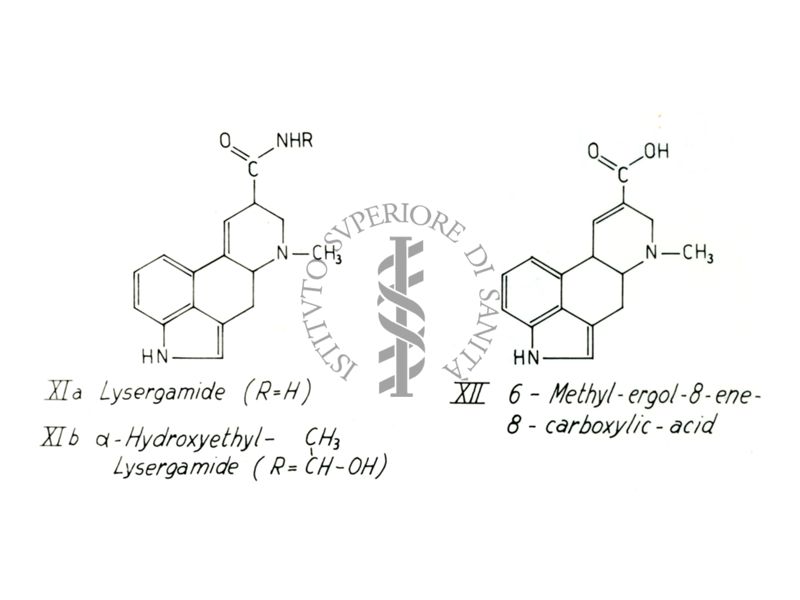 Studi farmacologici di prodotti naturali - Formule di struttura di Lysergamide, alfa-Hydroxetyl-Lysergamide e 6-Methyl-ergolene-8-carboxylic-acid