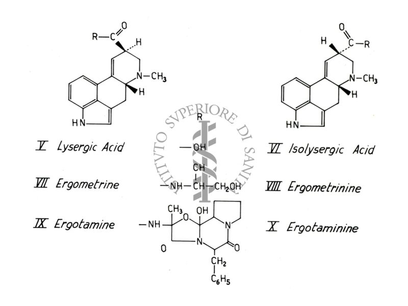 Studi farmacologici di prodotti naturali - Formule di struttura di Acido Lisergico, Ergometrina e Ergotamina