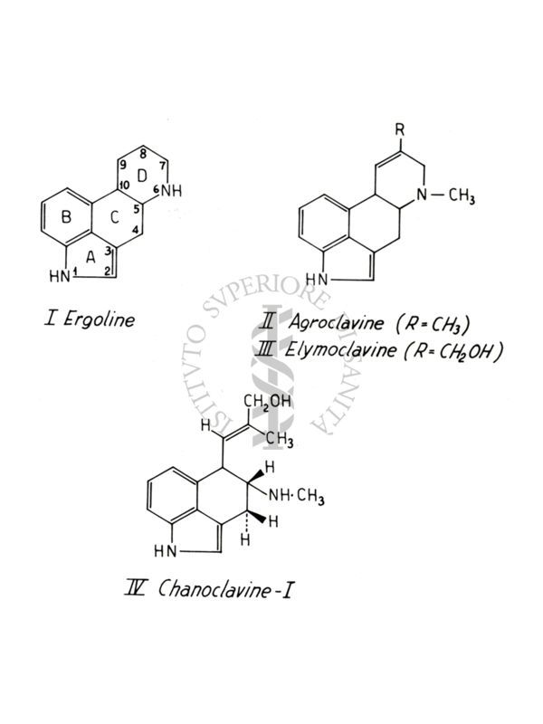 Studi farmacologici di prodotti naturali - Formule di struttura di Ergolina, Agroclavina, Elimoclavina e Cianoclavina-I