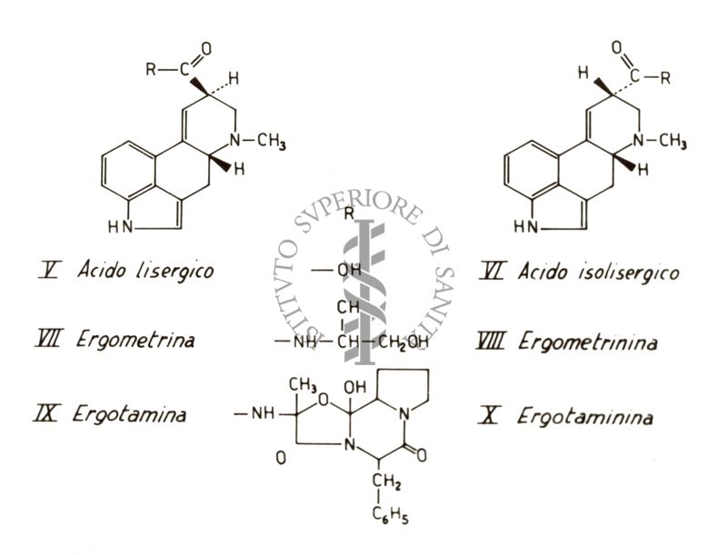 Studi farmacologici di prodotti naturali - Formule di struttura di Acido Lisergico, Ergometrina e Ergotamina