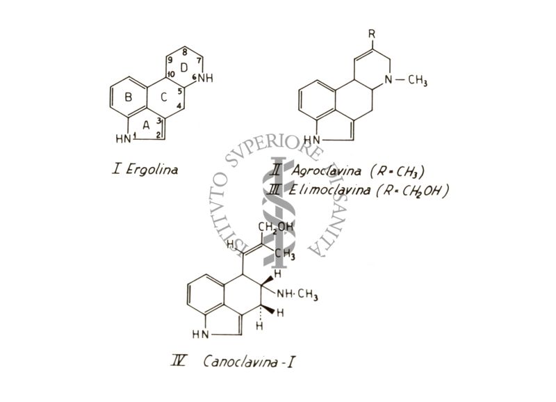 Studi farmacologici di prodotti naturali - Formule di struttura di Ergolina, Agroclavina, Elimoclavina e Clanoclavina