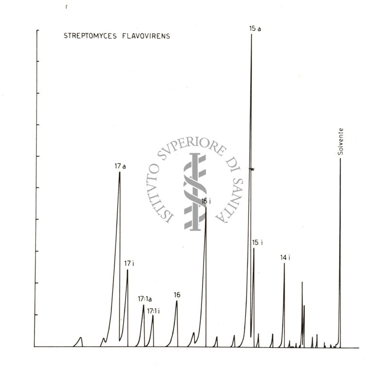 Spettroscopie di colture di Streptomyces