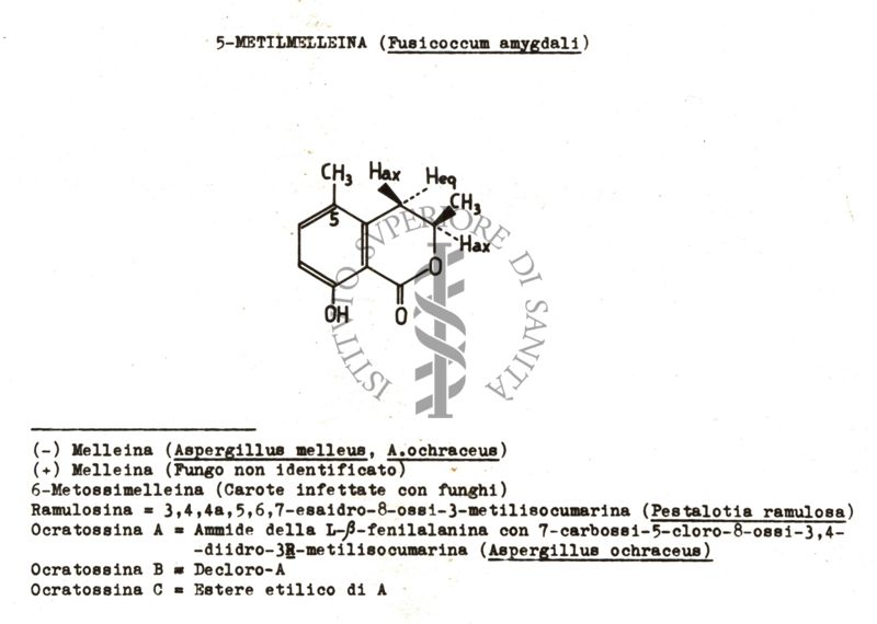 Formula della Metilmelleina estratta dal Fusicoccum amygdali