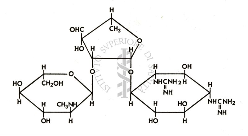 Formula di un polisaccaride