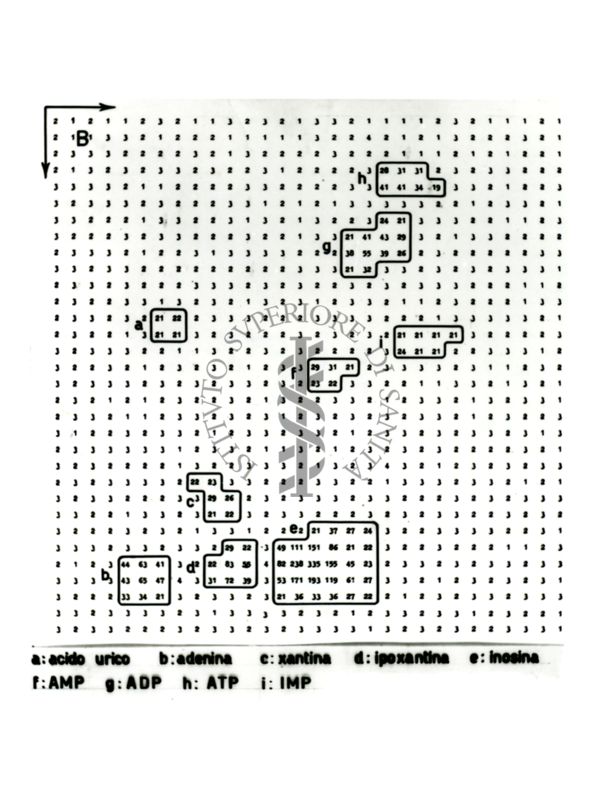 Studio relativo a sostanze trattate con solventi (in esito ad analisi cromatografiche) - a: acido urico; b; adenina; c: xantina; d: ipoxantina; e: inosina; f: AMP; g: ADP; h: ATP; i: IMP