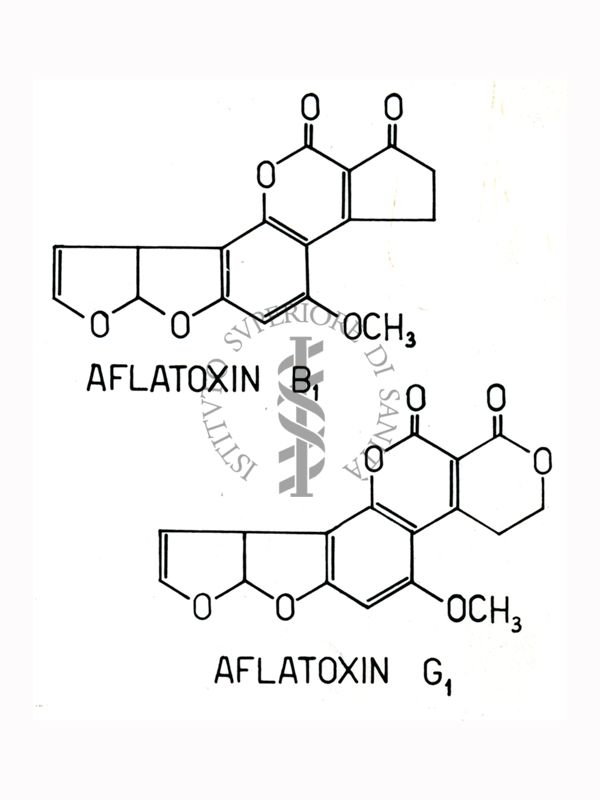 Formule di struttura di Aflatossina B1 e Aflatossina G1