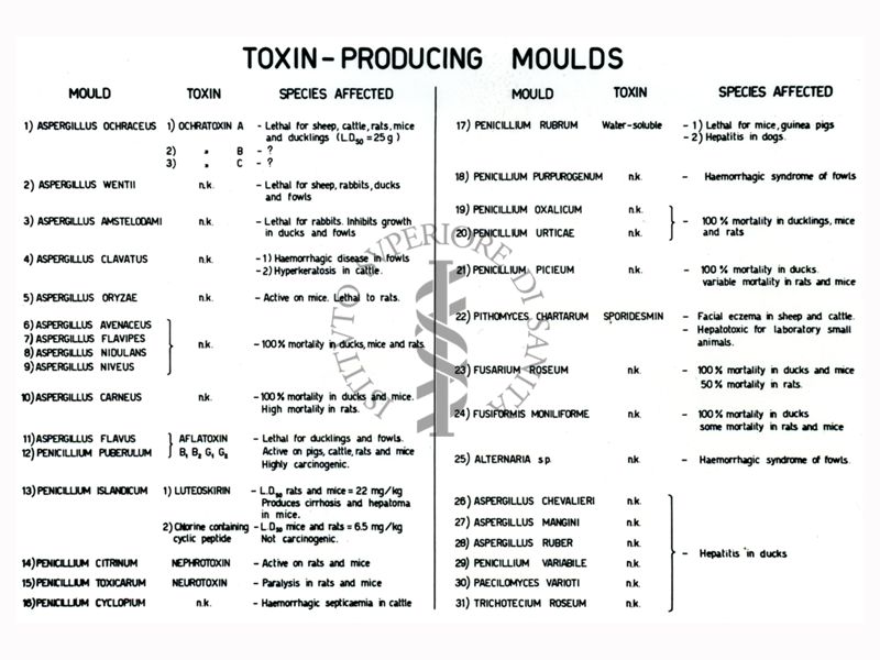 Studio sulle tossine prodotte da miceti