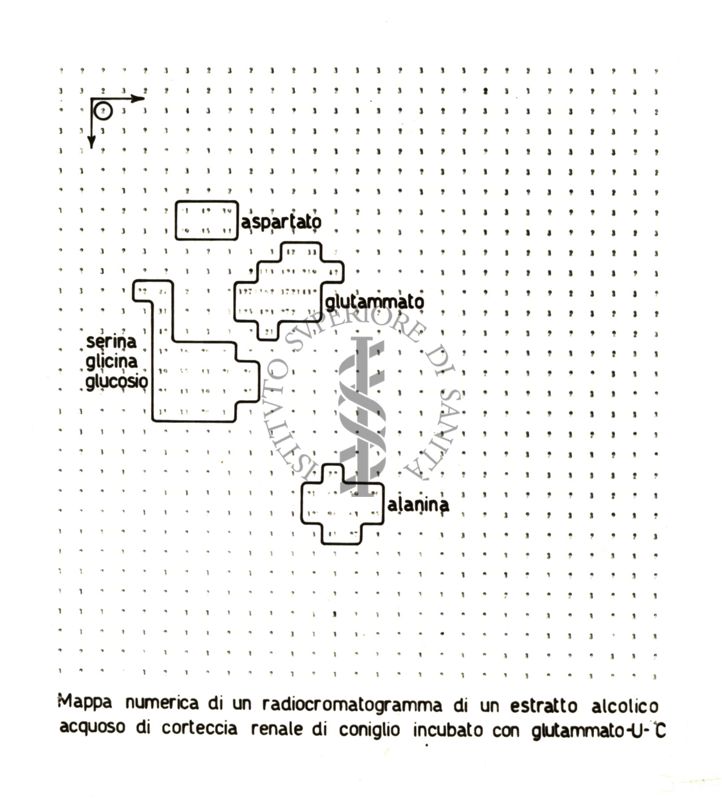 Radiocromatogrammi e mappe bidimensionali di interpretazione