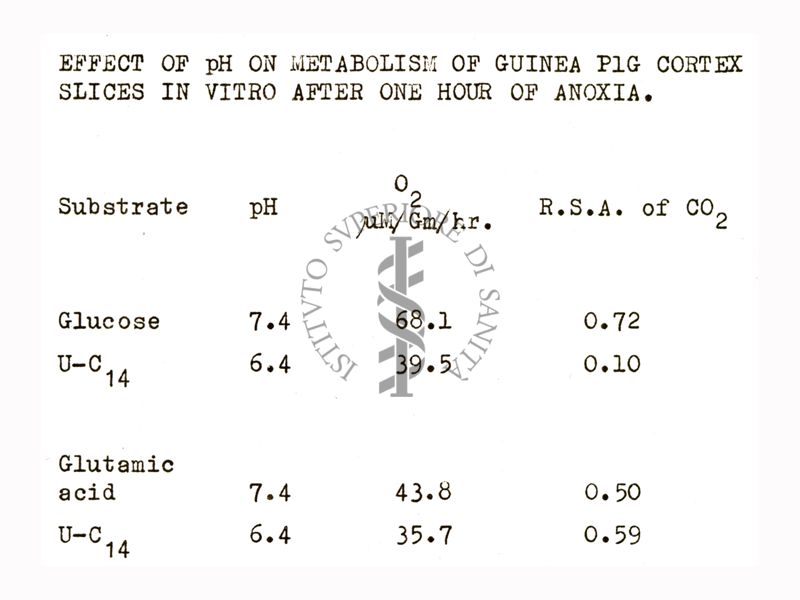 Studi metabolici