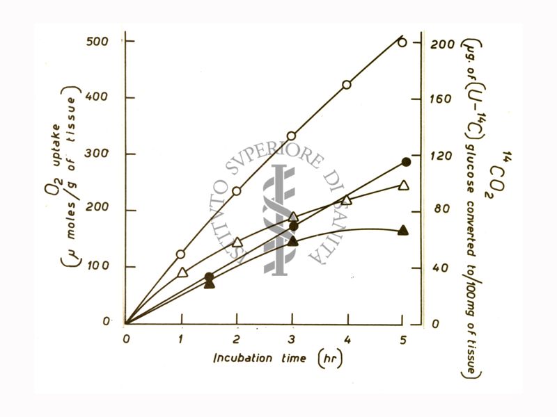 Studi metabolici