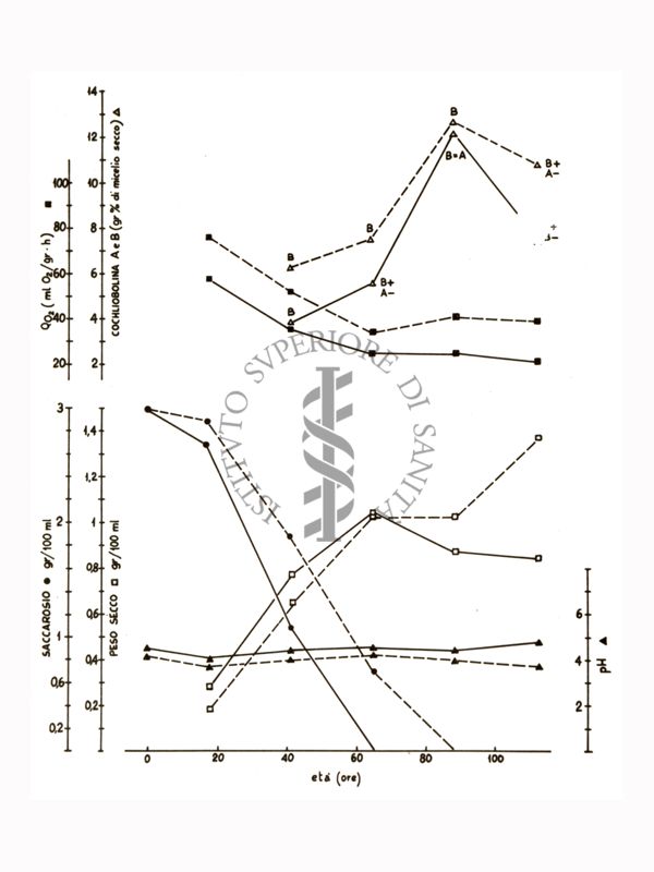 Studi metabolici