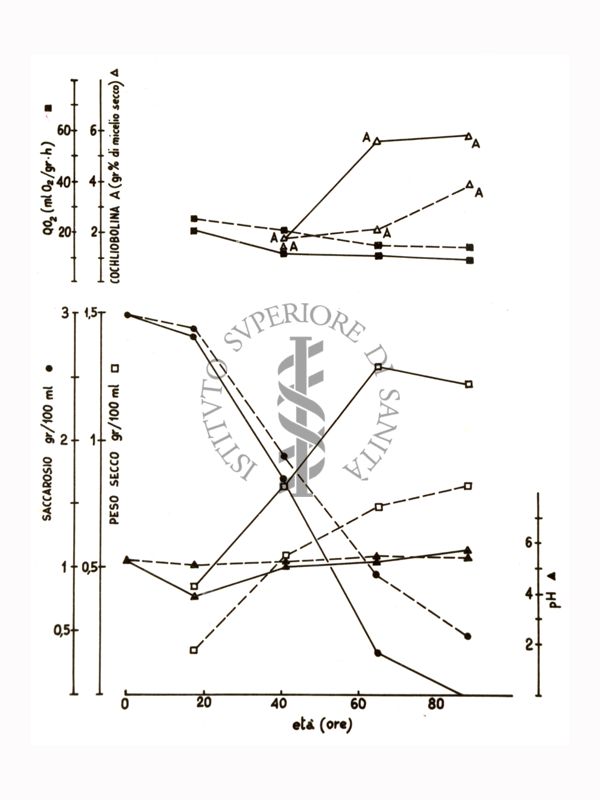 Studi metabolici