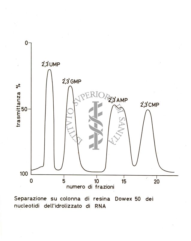 Studi metabolici