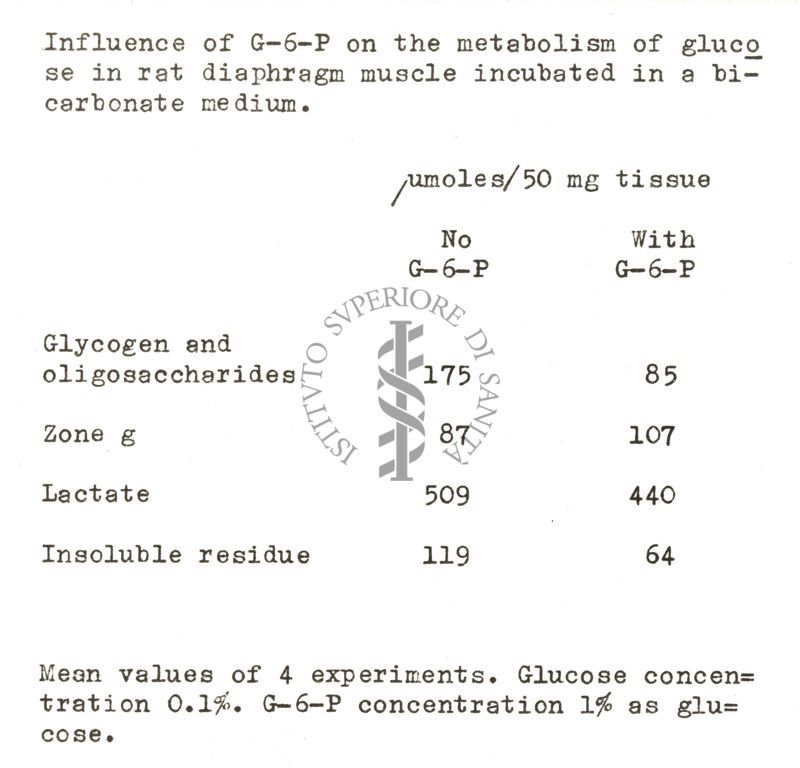 Studi metabolici sul diagramma di ratto isolato