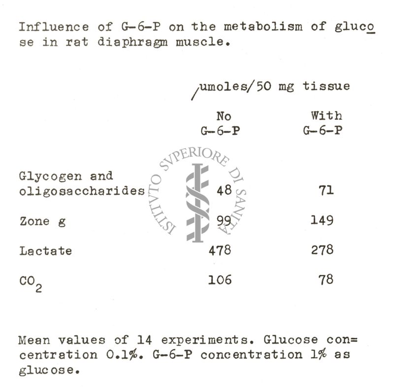 Studi metabolici sul diagramma di ratto isolato