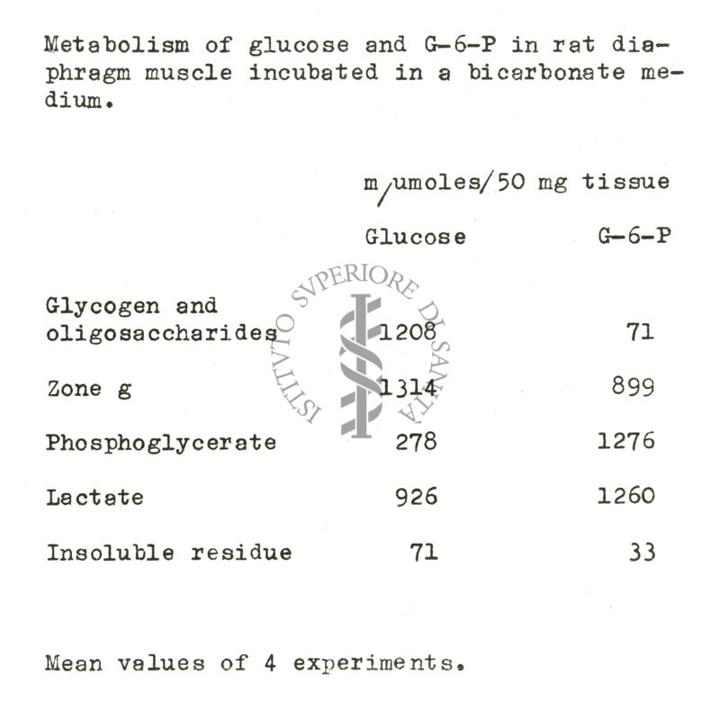 Studi metabolici sul diagramma di ratto isolato