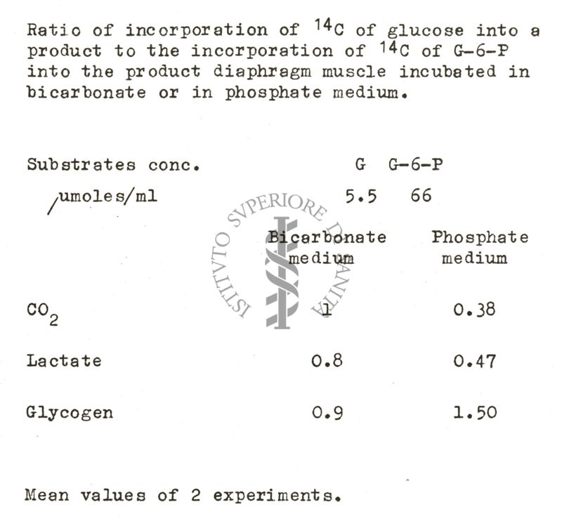 Studi metabolici sul diagramma di ratto isolato