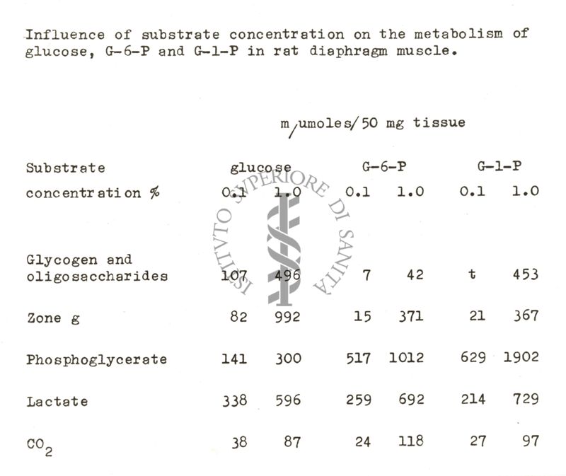 Studi metabolici sul diagramma di ratto isolato